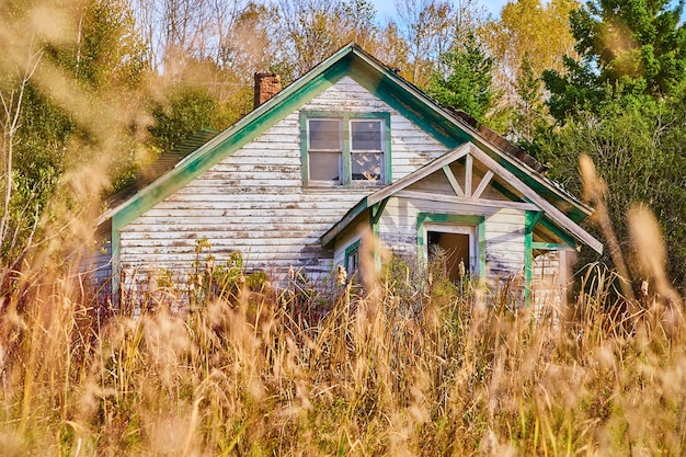 Photo image de la vieille maison abandonnée à travers le champ d'herbes jaunes