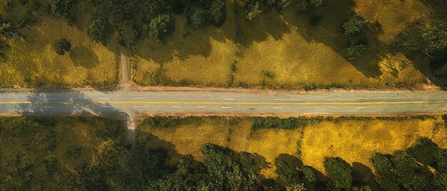 images aériennes de la route d'été dans une forêt