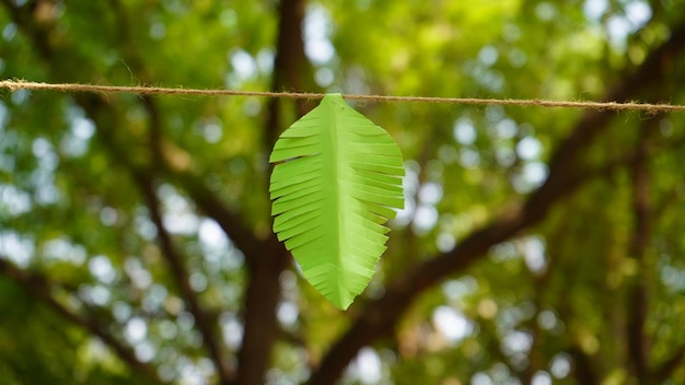 Images d'art et d'artisanat de feuilles faites à la main