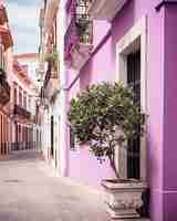 Photo imaginez les rues du vieux port-mallorca