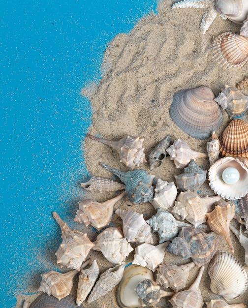 imitation de plage, coquillages et sable sur fond bleu