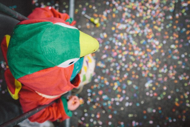 Photo immédiatement au-dessus de la photo d'une personne portant un costume de perroquet au carnaval