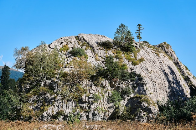 Immense falaise calcaire autoportante envahie par les arbres dans un paysage d'automne