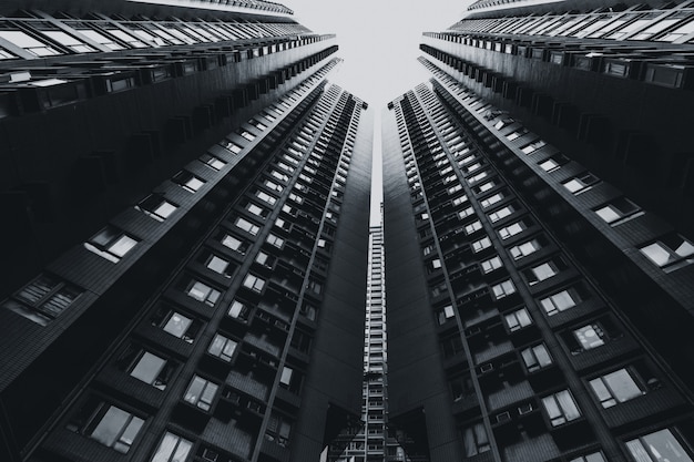 Immeuble de grande hauteur dans le paysage urbain noir et blanc