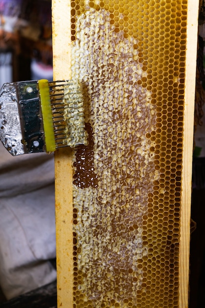 Impression des nids d'abeilles, outil pour ouvrir les nids d'abeilles