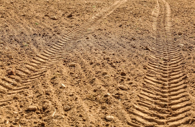 Photo impression de pneu de tracteur dans un champ sec, éclairé par le soleil.