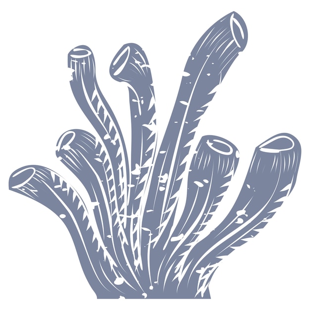 Impression de récifs coralliens Png transparente