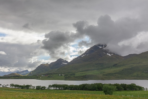 Impressionnante vue estivale du fjord en Norvège. Scène matinale colorée en Norvège