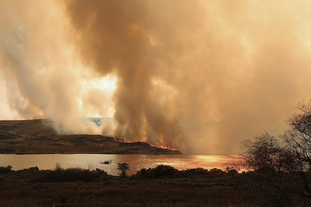 Photo incendie de forêt sur la rive d'une rivière