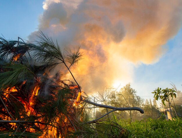 Un incendie avec de la fumée dans un jardin dans un village grec sur l'île d'Evia en Grèce