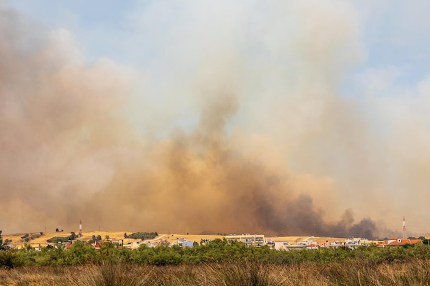 Incendie massif à Alexandroupolis Evros Grèce situation d'urgence lutte aérienne contre les incendies par hélicoptère