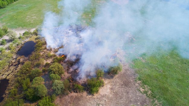 Incendies de forêt et catastrophes filmées depuis un drone