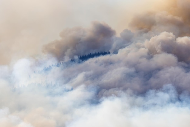 Les incendies de forêt et la fumée de la Colombie-Britannique sur la montagne près de Hope lors d'une chaude journée d'été ensoleillée en Colombie-Britannique