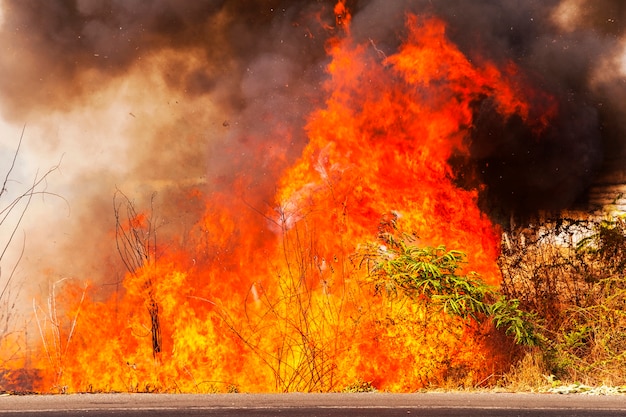 Incendies