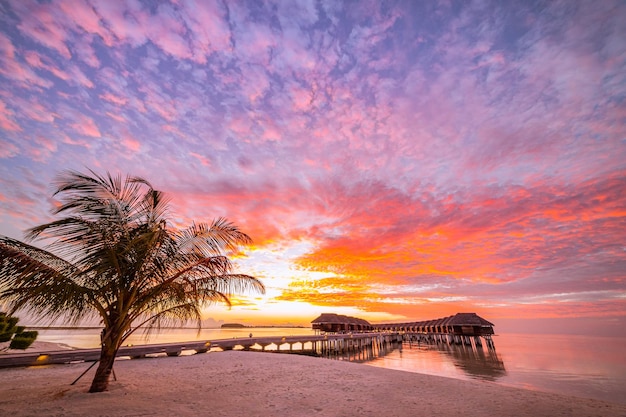 Incroyable coucher de soleil panoramique des Maldives. Paysage marin de villas de villégiature de luxe, réflexion de l'eau de l'horizon de la mer