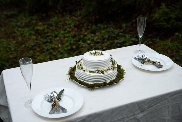 Incroyable couleur blanche de gâteau de mariage minimaliste