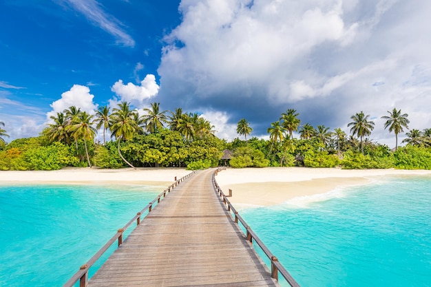 Incroyable fond d'écran de la jetée du paysage des Maldives sur la plage tropicale. Tourisme insulaire exotique pour les vacances d'été