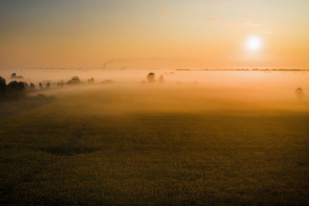 Incroyable lever de soleil à la campagne sur les forêts et les champs en Ukraine