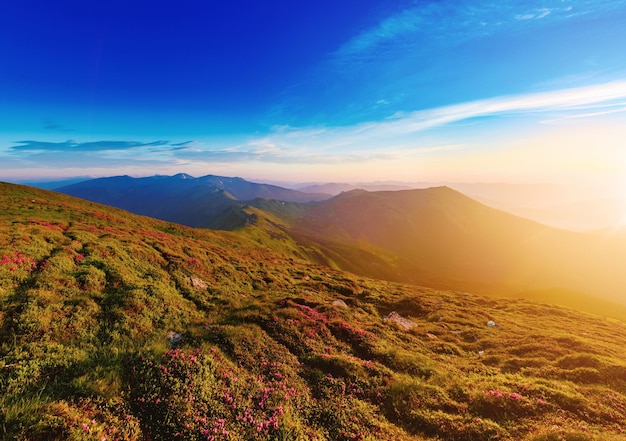 Incroyable lever de soleil sur la montagne