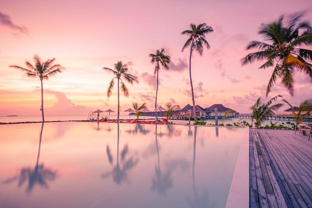 Incroyable loisirs au bord de la piscine réflexion palmiers silhouette front de mer coucher de soleil ciel mer vacances de luxe