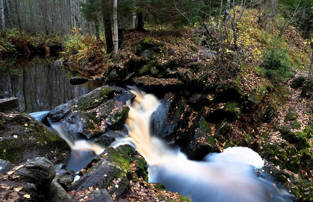 Incroyable paysage de cascade de montagne Forêt d'automne et fond de cascade