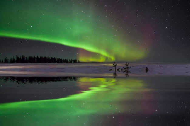 Incroyable paysage d'hiver avec des aurores boréales et des étoiles