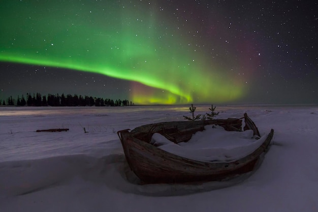 Incroyable paysage d'hiver avec des aurores boréales et des étoiles