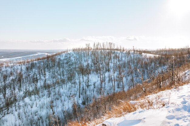 Incroyable paysage d'hiver dans les montagnes vue de dessus La neige se trouve sur les montagnes et les arbres