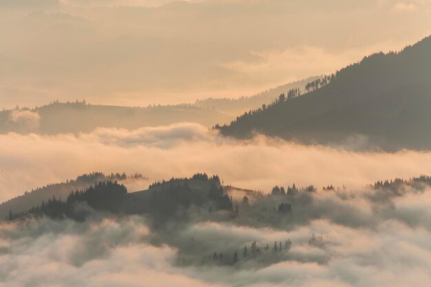 Incroyable paysage de montagne avec un brouillard dense Carpates