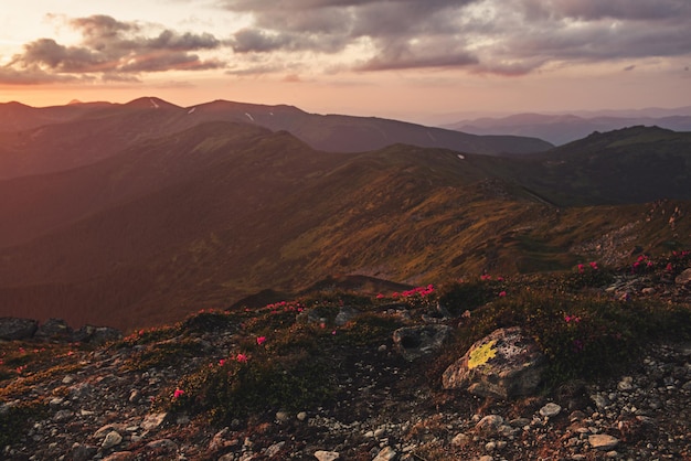 Incroyable paysage de montagne