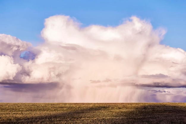 Incroyable photo de pluie battante de nuages orageux éclairée par le soleil au milieu du champ