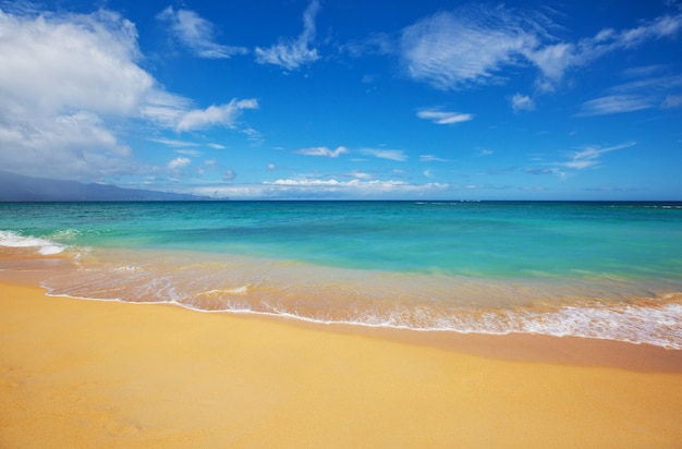 Incroyable plage hawaïenne