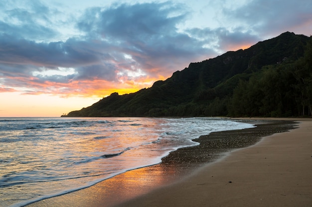 Incroyable plage hawaïenne