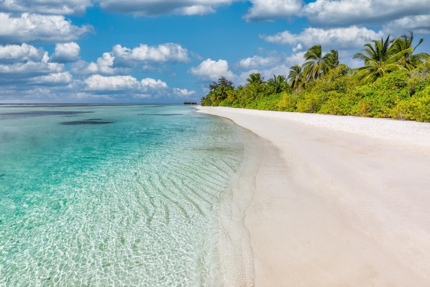 Incroyable plage naturelle avec palmiers, mer et ciel. Concept de fond de vacances de voyage de vacances d'été