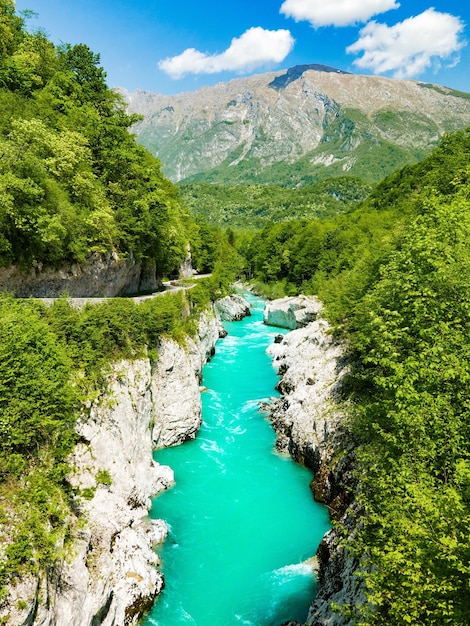 Incroyable rivière émeraude dans le canyon, gorge au printemps, été. Rivière Soca, Slovénie.