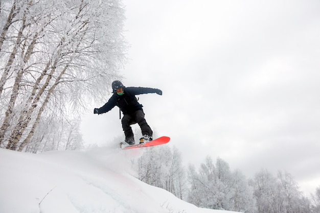Incroyable saut de snowboard sous la forêt enneigée blanche lors d'une bonne journée d'hiver en freeride lors d'une saison de ski de neige profonde