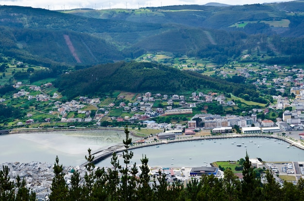 Incroyable Viveiro