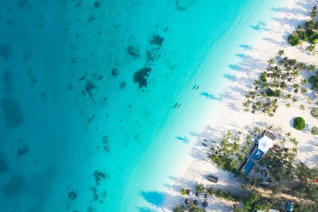 Incroyable vue d'oiseau à Zanzibar