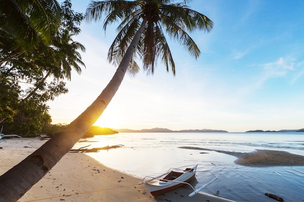 Incroyable vue panoramique sur la baie de la mer et les îles de montagne, Palawan, Philippines