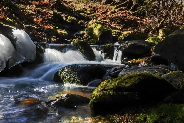 Incroyables petites cascades d'un ruisseau