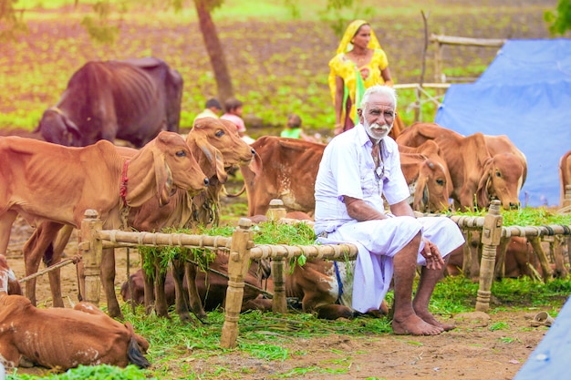 Inde rurale, fermier indien