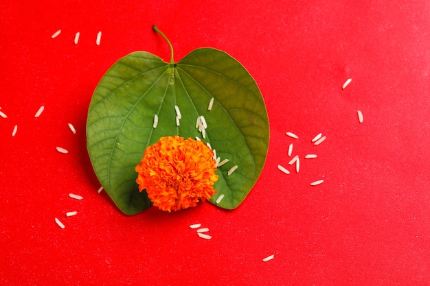 Indian Dussehra laisse avec du riz et une fleur