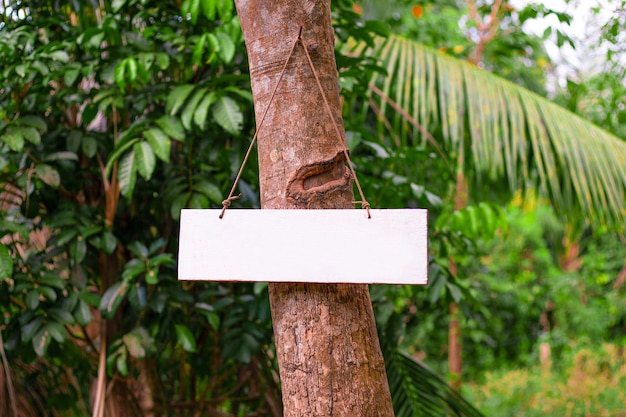 Indicateur de direction de jungle de poteau indicateur