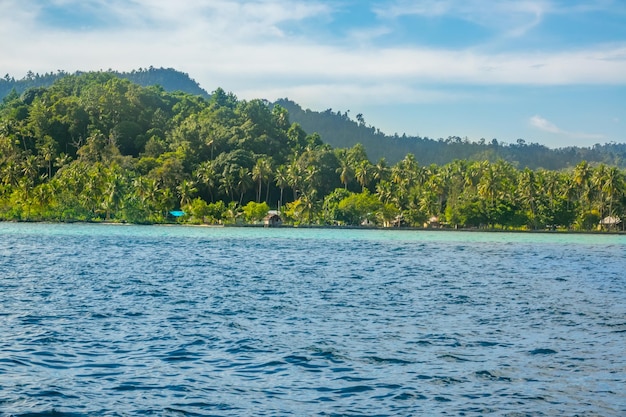 Indonésie. Île tropicale vallonnée envahie par la jungle. Plusieurs maisons sur la plage