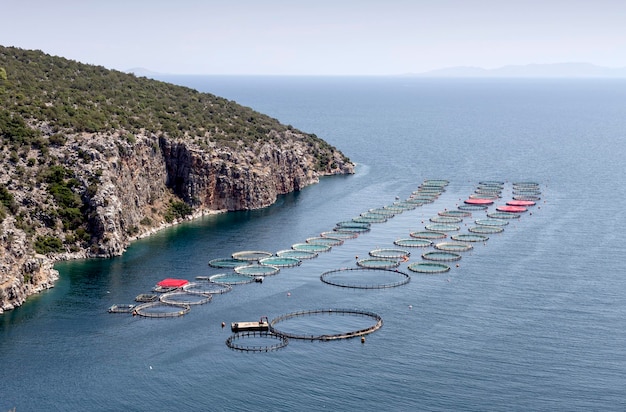 L'industrie alimentaire La culture du poisson en pleine mer vue sur les étangs avec des montagnes de poissons et de la mer Grèce