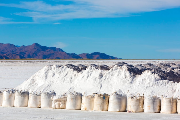 L'industrie du sel dans la province de Salinas Grande Jujuy Argentine