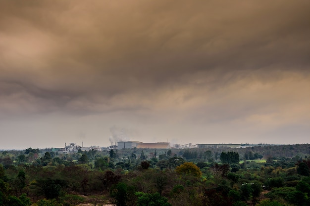 Industrie du sucre