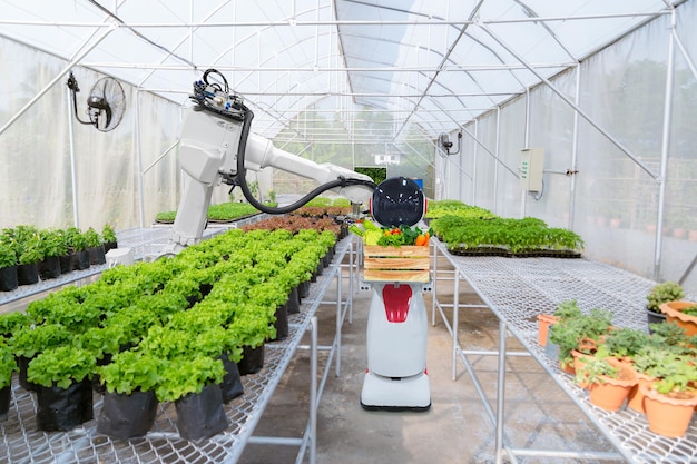 Industrie de la robotique agricole jardinage et plantation de légumes