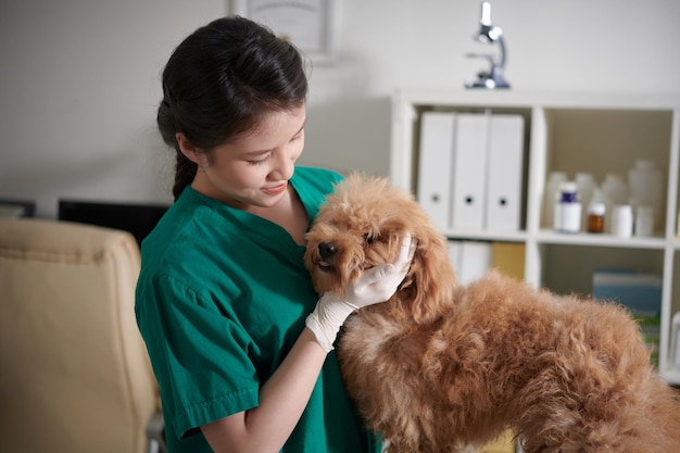 Infirmière vétérinaire jouant avec un chien