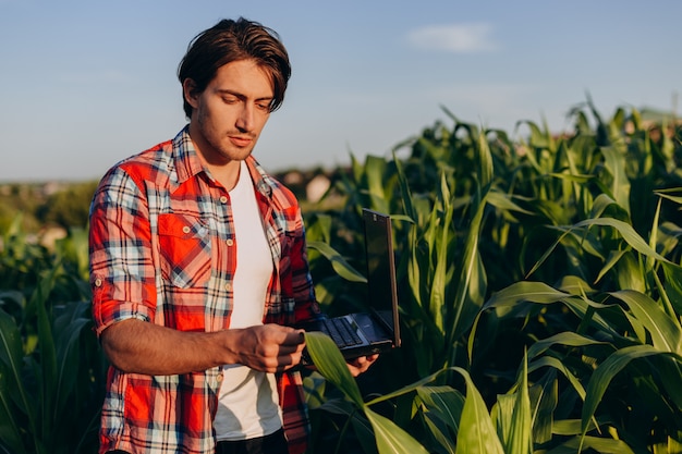 Ingénieur agronome debout dans un champ prenant le contrôle du rendement et regardant une usine avec un ordinateur portable